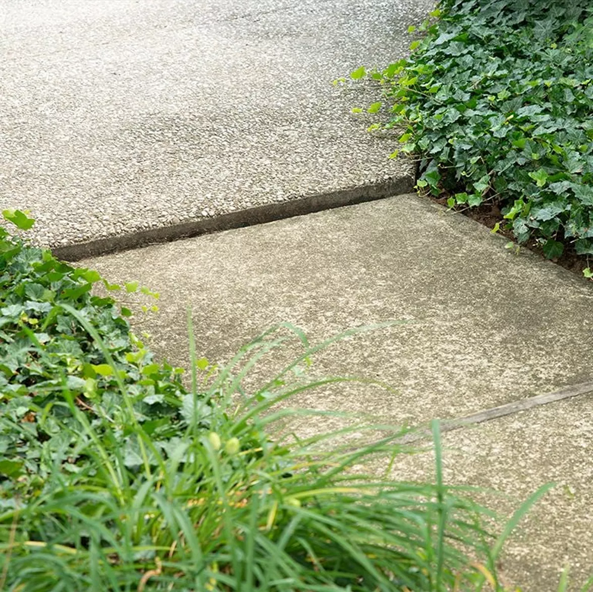 Perfectly leveled concrete walkway slab raised flush with adjoining concrete after polyurethane foam injection.