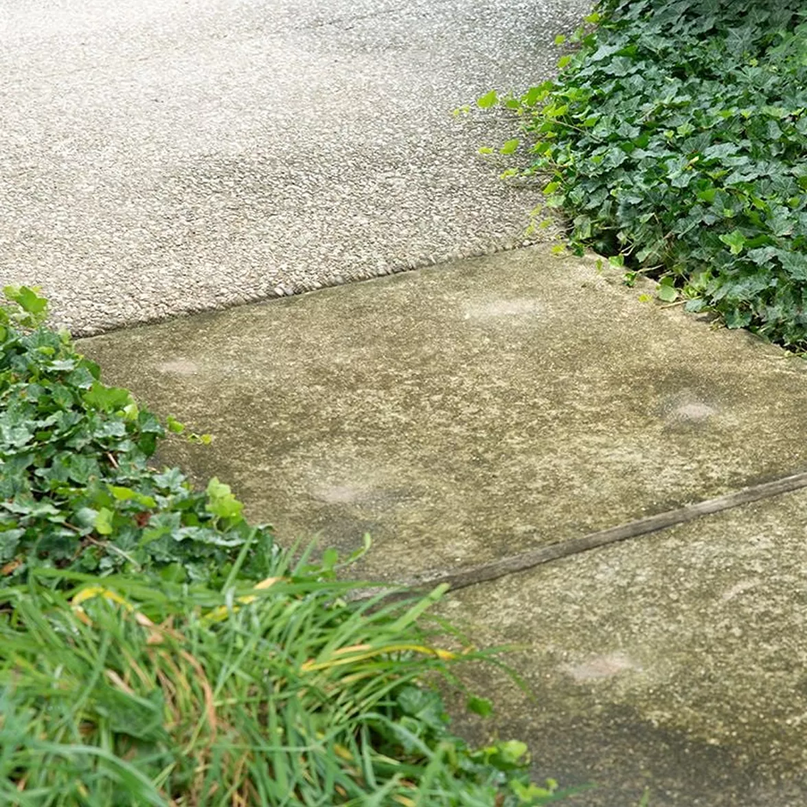 Sunken Concrete Walkway Trip Hazard – Before Poly Leveling Sunken residential concrete walkway slab creating a 2-inch tripping hazard ledge along a garden path.